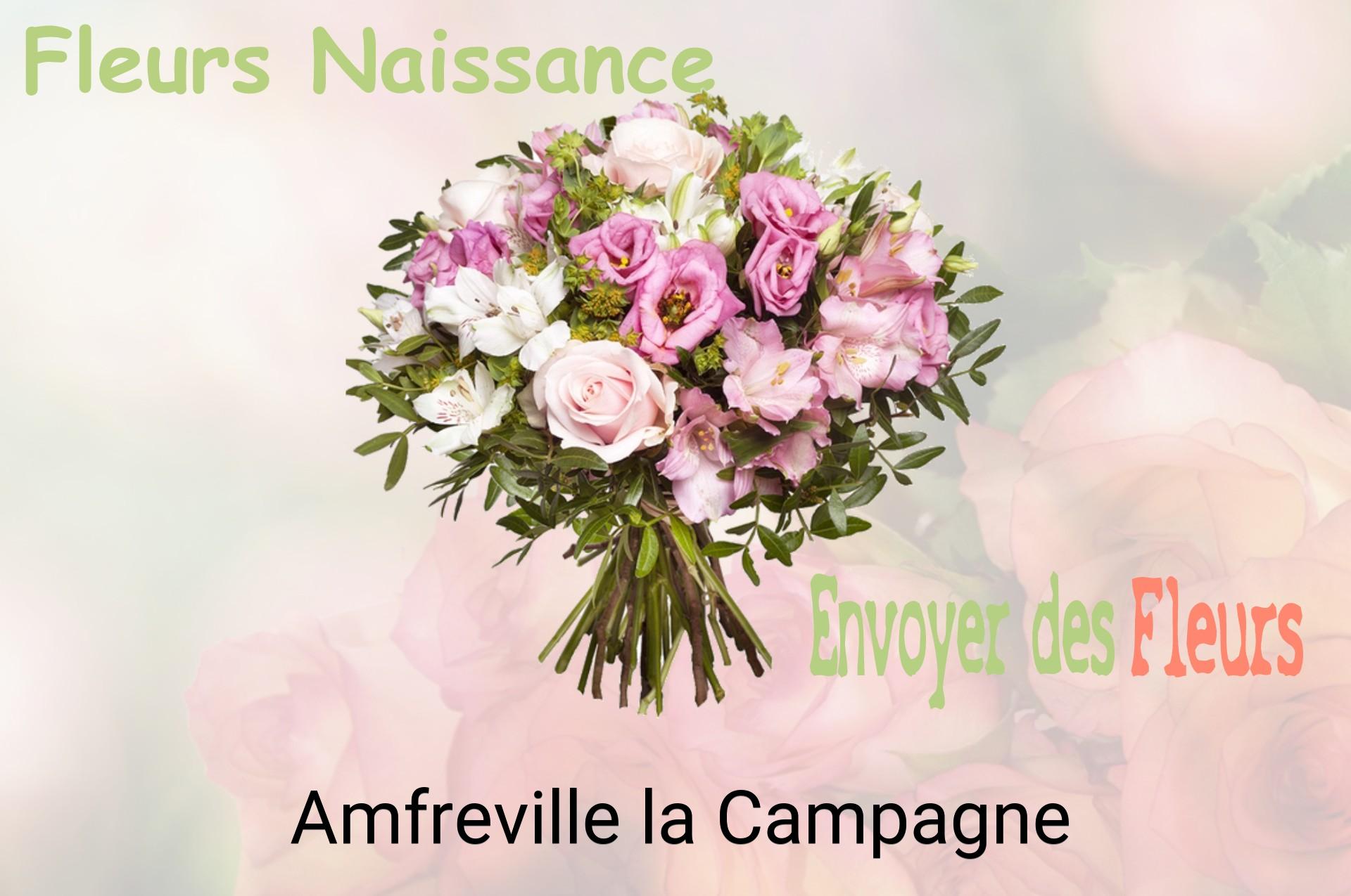 Bouquet de fleurs de naissance livré à Amfreville-la-Campagne